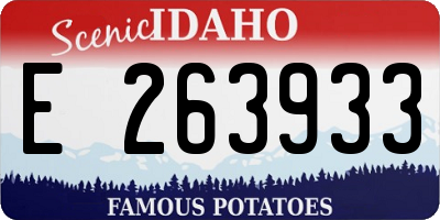 ID license plate E263933