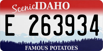 ID license plate E263934