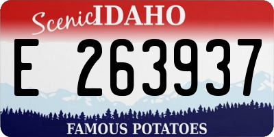 ID license plate E263937