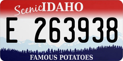 ID license plate E263938