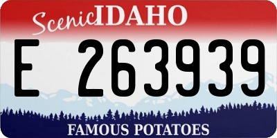 ID license plate E263939