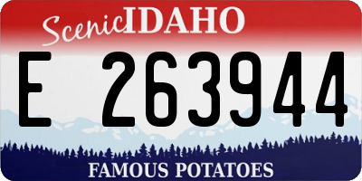 ID license plate E263944