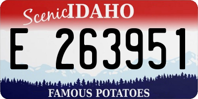 ID license plate E263951