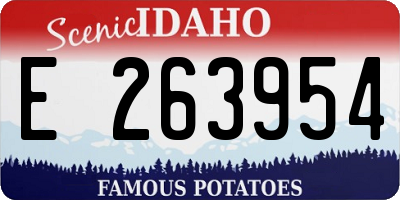 ID license plate E263954