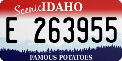 ID license plate E263955