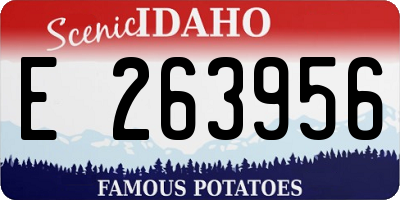 ID license plate E263956