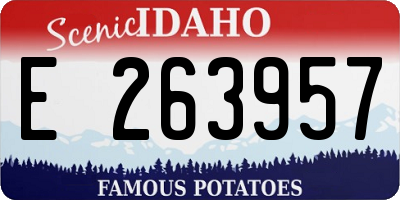 ID license plate E263957