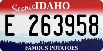 ID license plate E263958