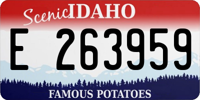 ID license plate E263959