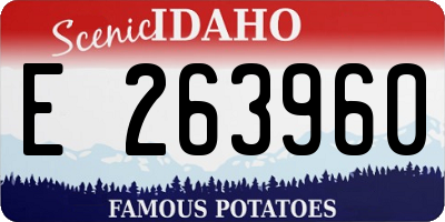 ID license plate E263960