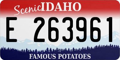 ID license plate E263961