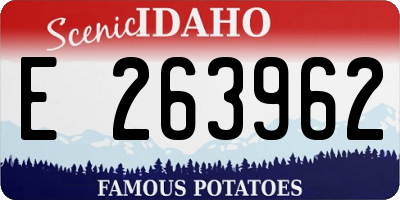 ID license plate E263962