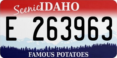 ID license plate E263963