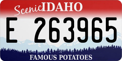 ID license plate E263965