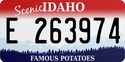 ID license plate E263974