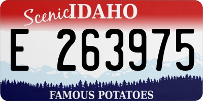 ID license plate E263975