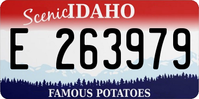 ID license plate E263979