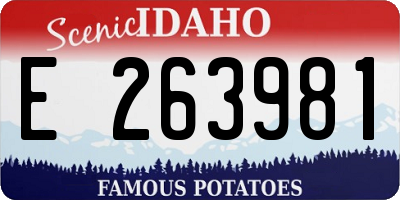ID license plate E263981