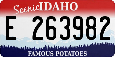 ID license plate E263982