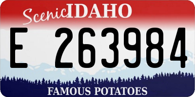 ID license plate E263984