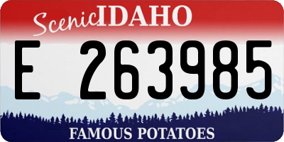 ID license plate E263985