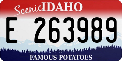 ID license plate E263989