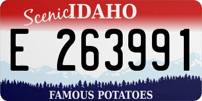 ID license plate E263991