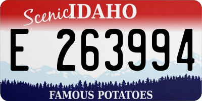 ID license plate E263994