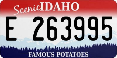 ID license plate E263995