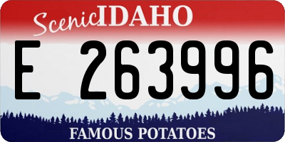 ID license plate E263996