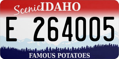 ID license plate E264005
