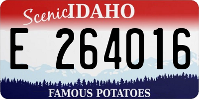 ID license plate E264016