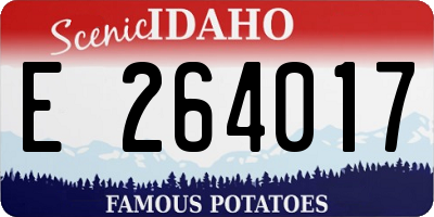 ID license plate E264017