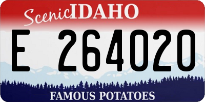 ID license plate E264020