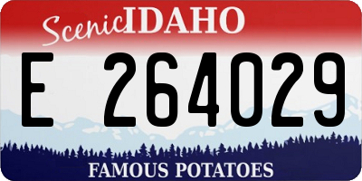 ID license plate E264029