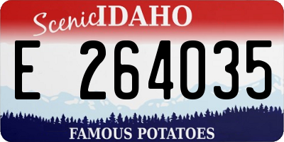 ID license plate E264035