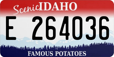 ID license plate E264036