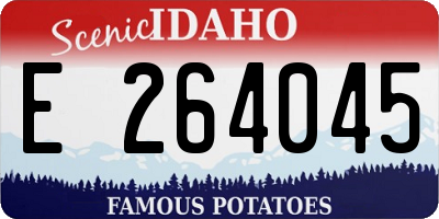 ID license plate E264045