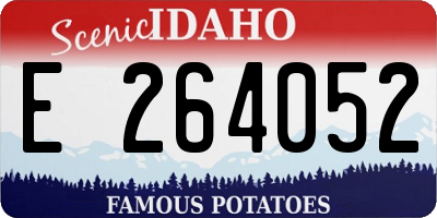 ID license plate E264052