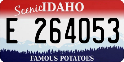 ID license plate E264053