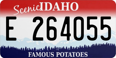 ID license plate E264055