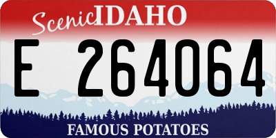 ID license plate E264064