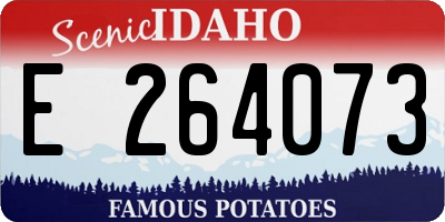 ID license plate E264073