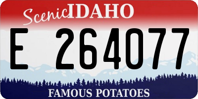 ID license plate E264077