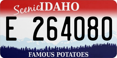 ID license plate E264080