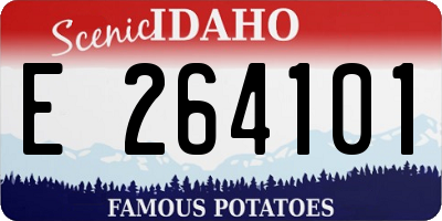 ID license plate E264101