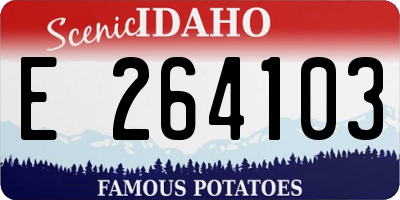 ID license plate E264103