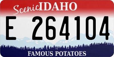 ID license plate E264104