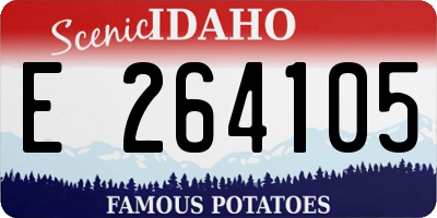 ID license plate E264105
