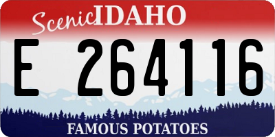 ID license plate E264116